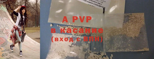 индика Елабуга