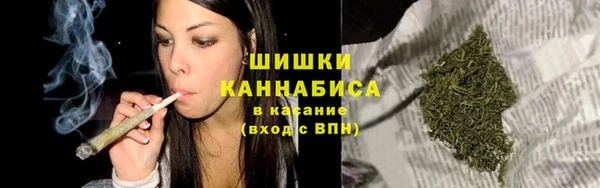мет Дмитриев