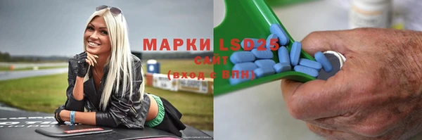 индика Елабуга
