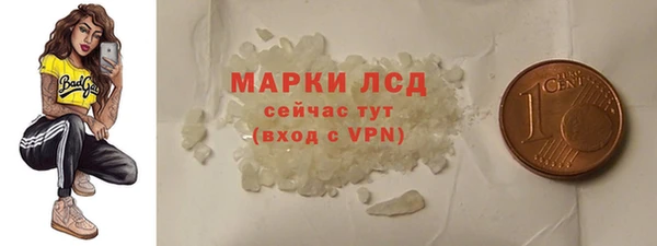 индика Елабуга