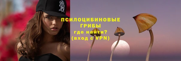 индика Елабуга