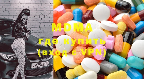 индика Елабуга