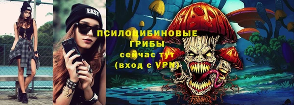 мет Дмитриев
