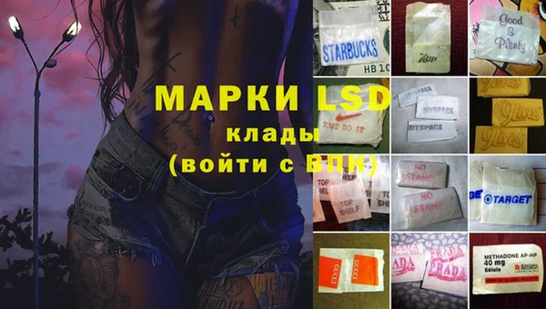 индика Елабуга