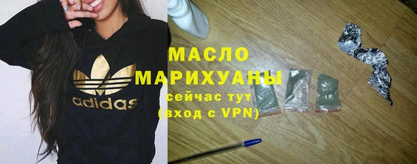 индика Елабуга