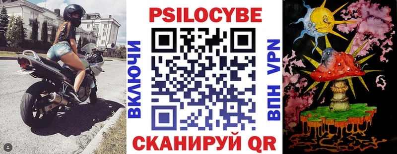 купить закладку  Рошаль  Галлюциногенные грибы мицелий 